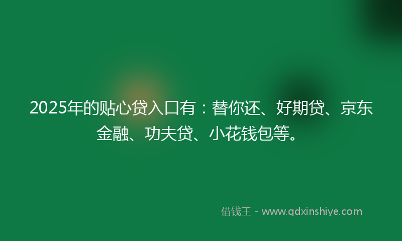 2025年的贴心贷入口有：替你还、好期贷、京东金融、功夫贷、小花钱包等。