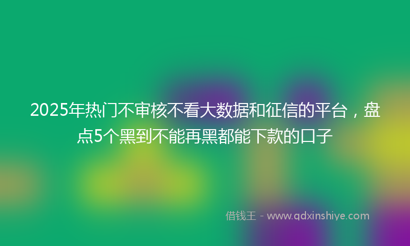 2025年热门不审核不看大数据和征信的平台，盘点5个黑到不能再黑都能下款的口子