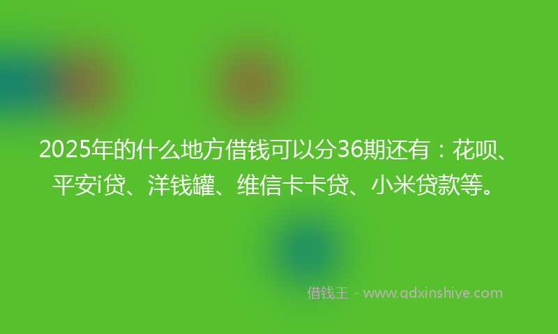 2025年的什么地方借钱可以分36期还有：花呗、平安i贷、洋钱罐、维信卡卡贷、小米贷款等。