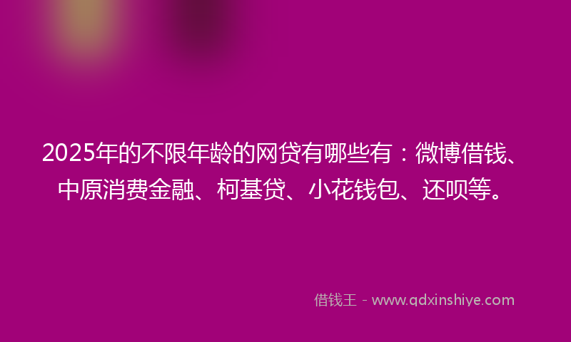 2025年的不限年龄的网贷有哪些有：微博借钱、中原消费金融、柯基贷、小花钱包、还呗等。