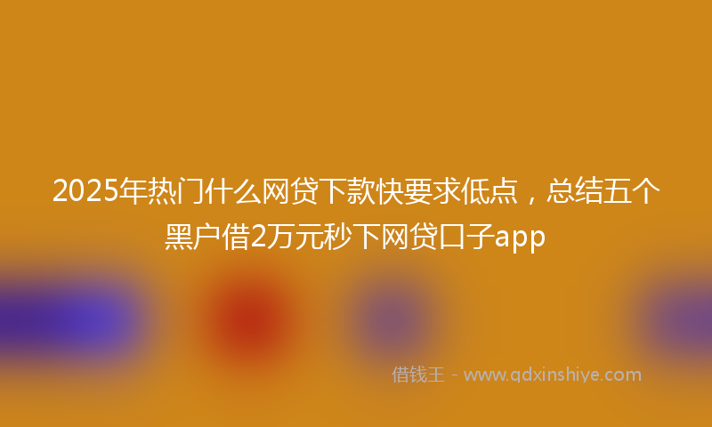 2025年热门什么网贷下款快要求低点，总结五个黑户借2万元秒下网贷口子app