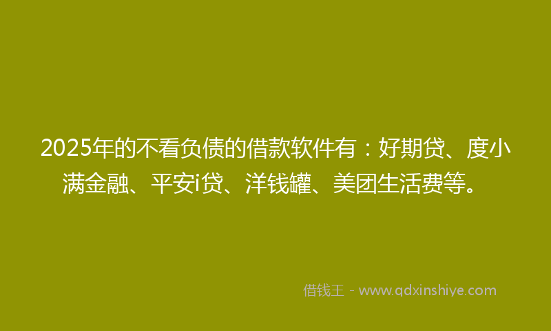 2025年的不看负债的借款软件有：好期贷、度小满金融、平安i贷、洋钱罐、美团生活费等。