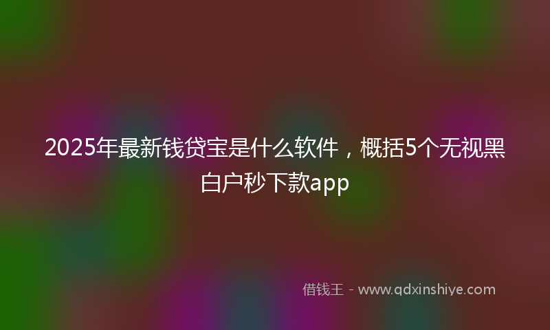 2025年最新钱贷宝是什么软件，概括5个无视黑白户秒下款app