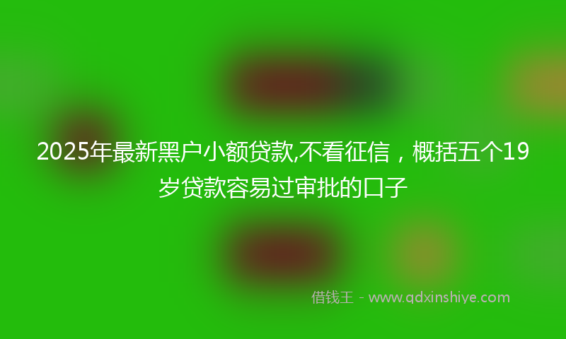 2025年最新黑户小额贷款,不看征信，概括五个19岁贷款容易过审批的口子