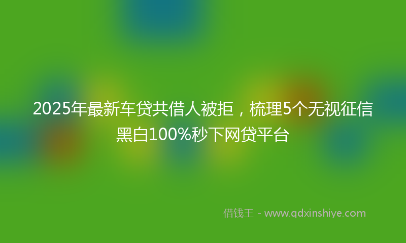 2025年最新车贷共借人被拒，梳理5个无视征信黑白100%秒下网贷平台