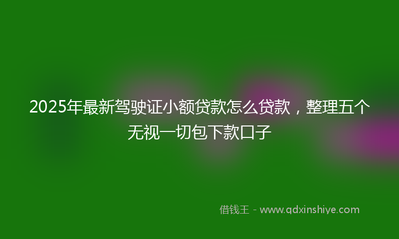 2025年最新驾驶证小额贷款怎么贷款，整理五个无视一切包下款口子