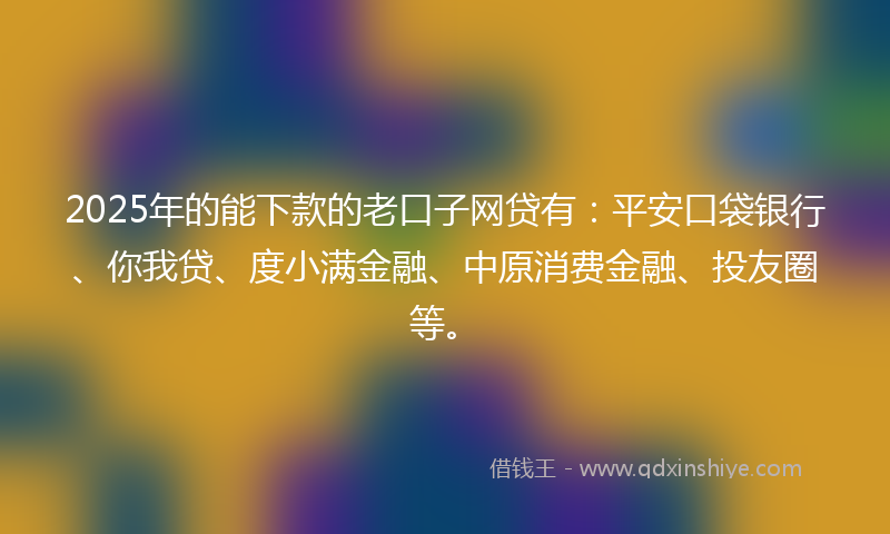 2025年的能下款的老口子网贷有：平安口袋银行、你我贷、度小满金融、中原消费金融、投友圈等。