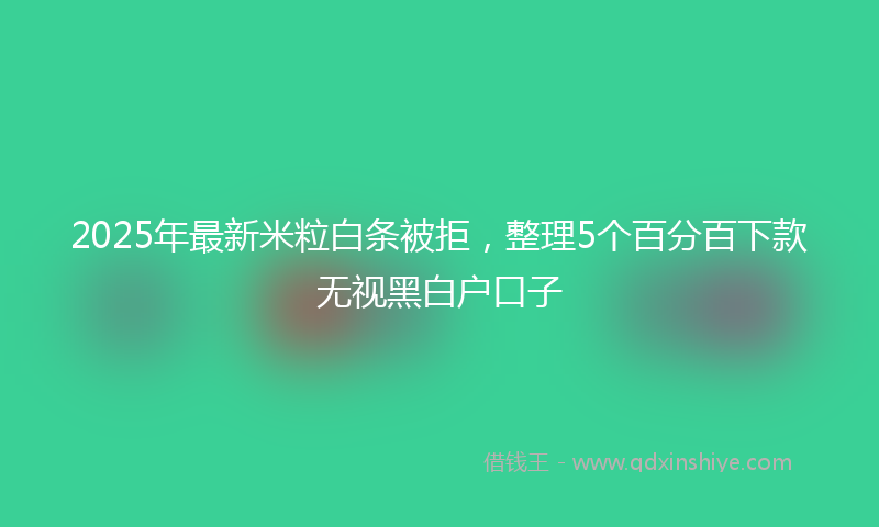 2025年最新米粒白条被拒，整理5个百分百下款无视黑白户口子