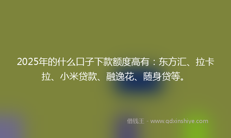 2025年的什么口子下款额度高有：东方汇、拉卡拉、小米贷款、融逸花、随身贷等。