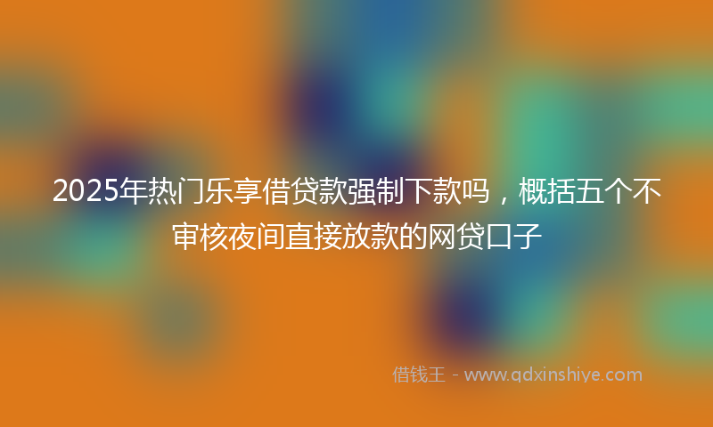 2025年热门乐享借贷款强制下款吗，概括五个不审核夜间直接放款的网贷口子