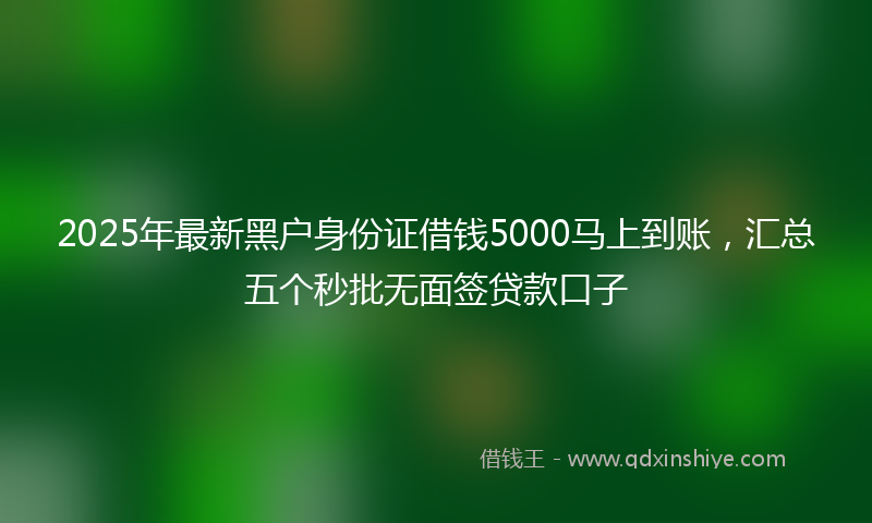 2025年最新黑户身份证借钱5000马上到账，汇总五个秒批无面签贷款口子