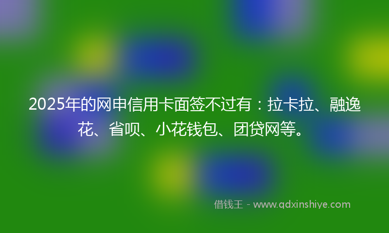 2025年的网申信用卡面签不过有：拉卡拉、融逸花、省呗、小花钱包、团贷网等。