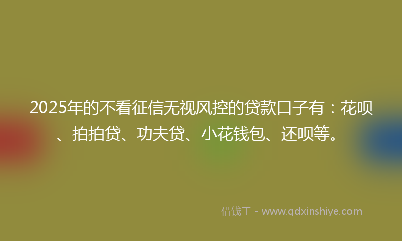2025年的不看征信无视风控的贷款口子有：花呗、拍拍贷、功夫贷、小花钱包、还呗等。