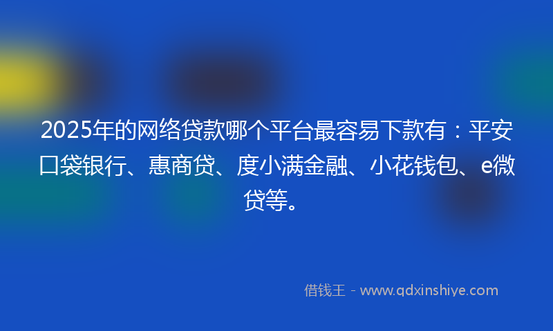 2025年的网络贷款哪个平台最容易下款有：平安口袋银行、惠商贷、度小满金融、小花钱包、e微贷等。
