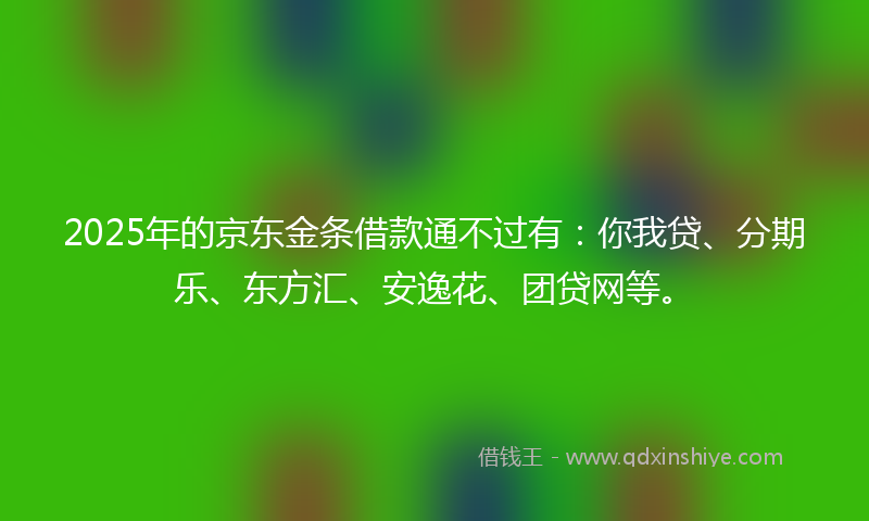 2025年的京东金条借款通不过有：你我贷、分期乐、东方汇、安逸花、团贷网等。