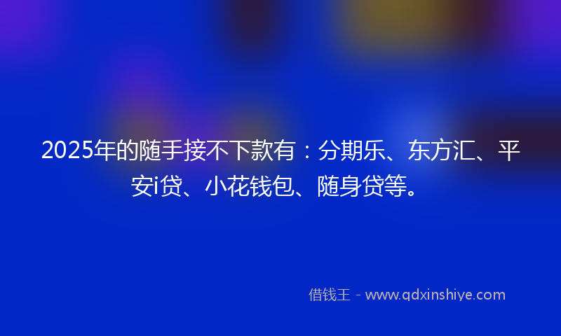 2025年的随手接不下款有：分期乐、东方汇、平安i贷、小花钱包、随身贷等。