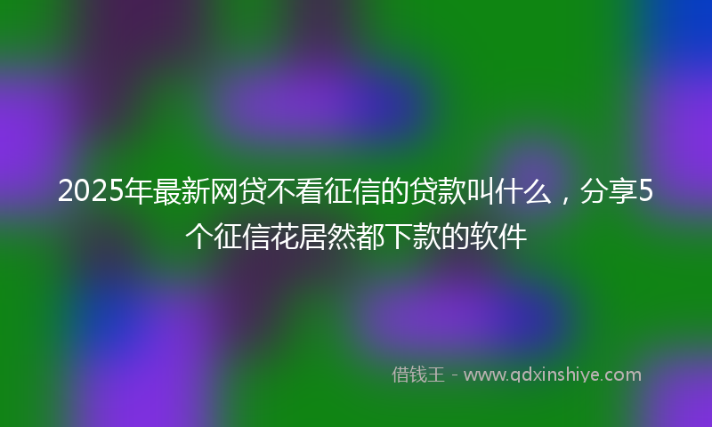 2025年最新网贷不看征信的贷款叫什么，分享5个征信花居然都下款的软件