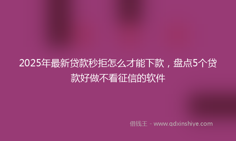 2025年最新贷款秒拒怎么才能下款，盘点5个贷款好做不看征信的软件