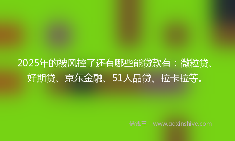 2025年的被风控了还有哪些能贷款有：微粒贷、好期贷、京东金融、51人品贷、拉卡拉等。