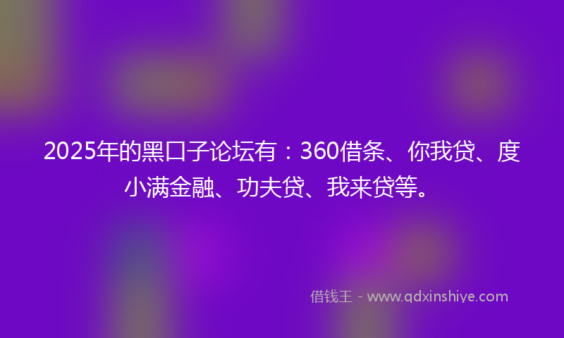 2025年的黑口子论坛有：360借条、你我贷、度小满金融、功夫贷、我来贷等。