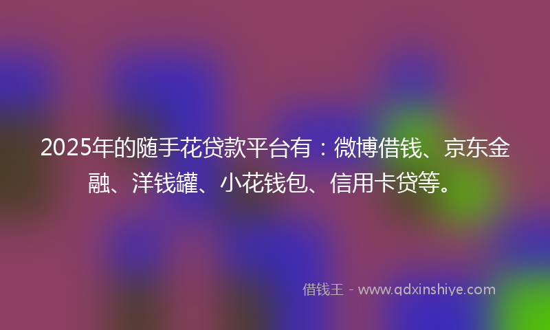 2025年的随手花贷款平台有：微博借钱、京东金融、洋钱罐、小花钱包、信用卡贷等。