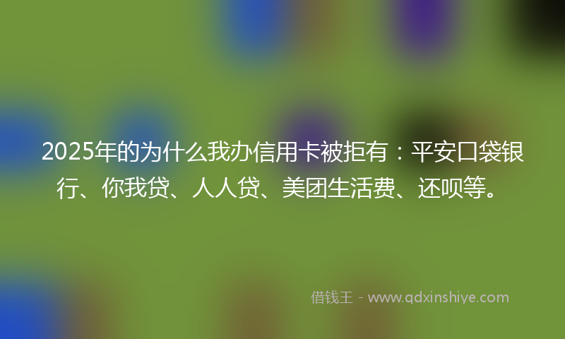 2025年的为什么我办信用卡被拒有：平安口袋银行、你我贷、人人贷、美团生活费、还呗等。
