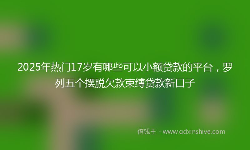 2025年热门17岁有哪些可以小额贷款的平台，罗列五个摆脱欠款束缚贷款新口子