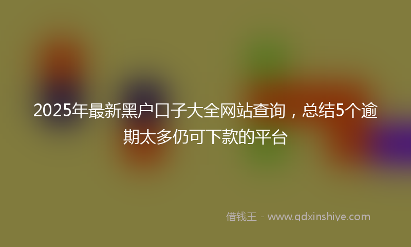 2025年最新黑户口子大全网站查询，总结5个逾期太多仍可下款的平台