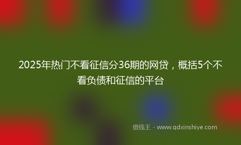 2025年热门不看征信分36期的网贷，概括5个不看负债和征信的平台