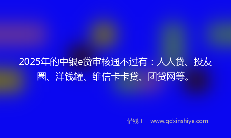 2025年的中银e贷审核通不过有：人人贷、投友圈、洋钱罐、维信卡卡贷、团贷网等。