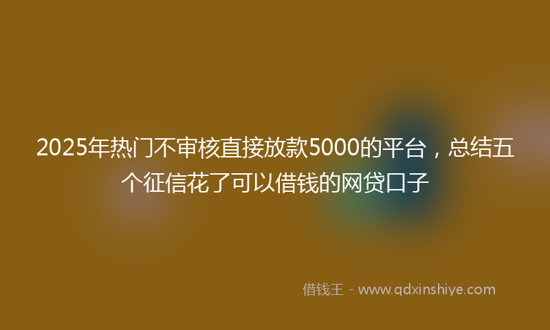2025年热门不审核直接放款5000的平台，总结五个征信花了可以借钱的网贷口子