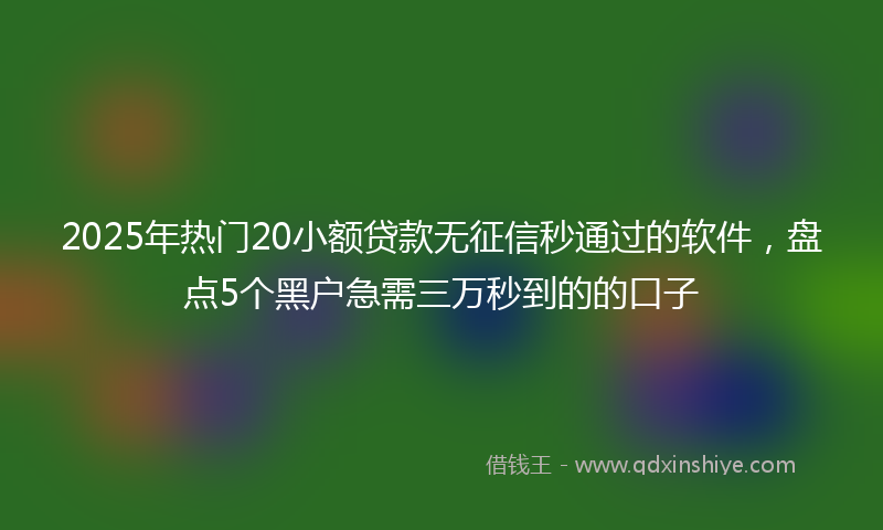 2025年热门20小额贷款无征信秒通过的软件，盘点5个黑户急需三万秒到的的口子