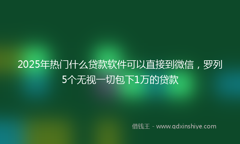 2025年热门什么贷款软件可以直接到微信，罗列5个无视一切包下1万的贷款