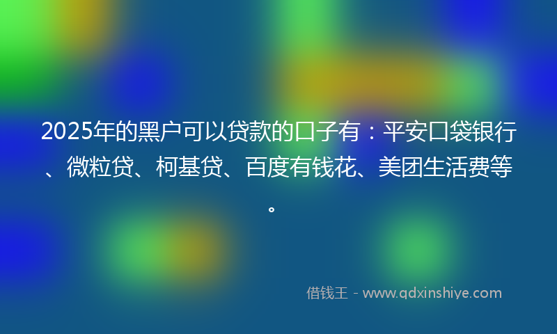 2025年的黑户可以贷款的口子有：平安口袋银行、微粒贷、柯基贷、百度有钱花、美团生活费等。