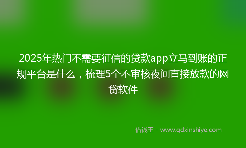 2025年热门不需要征信的贷款app立马到账的正规平台是什么，梳理5个不审核夜间直接放款的网贷软件