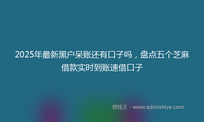2025年最新黑户呆账还有口子吗，盘点五个芝麻借款实时到账速借口子