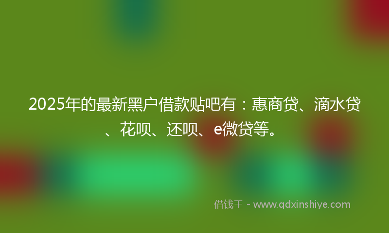 2025年的最新黑户借款贴吧有：惠商贷、滴水贷、花呗、还呗、e微贷等。