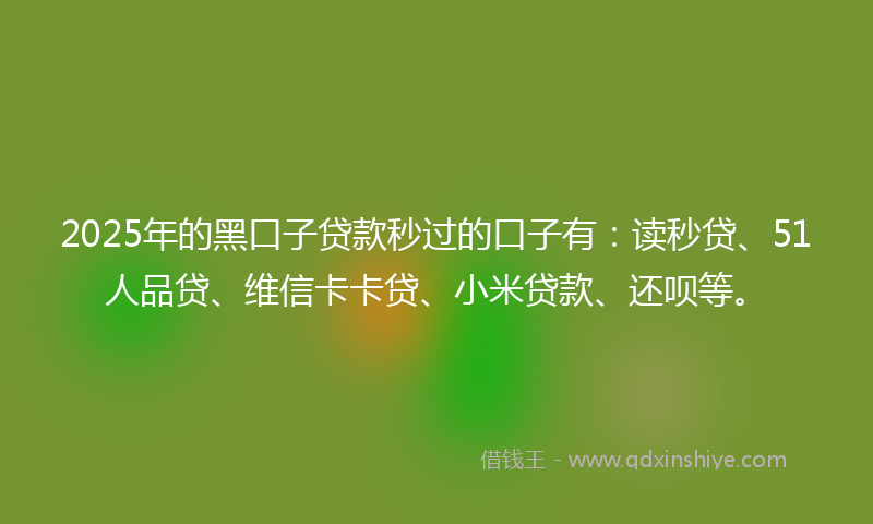 2025年的黑口子贷款秒过的口子有：读秒贷、51人品贷、维信卡卡贷、小米贷款、还呗等。