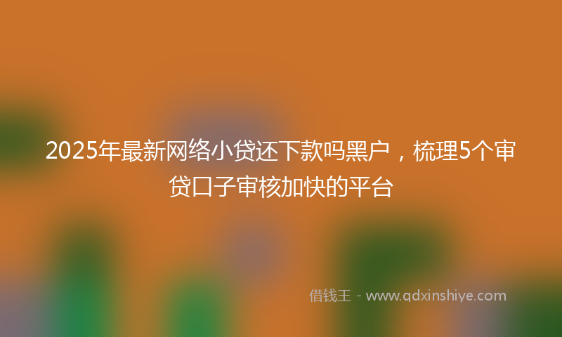 2025年最新网络小贷还下款吗黑户，梳理5个审贷口子审核加快的平台