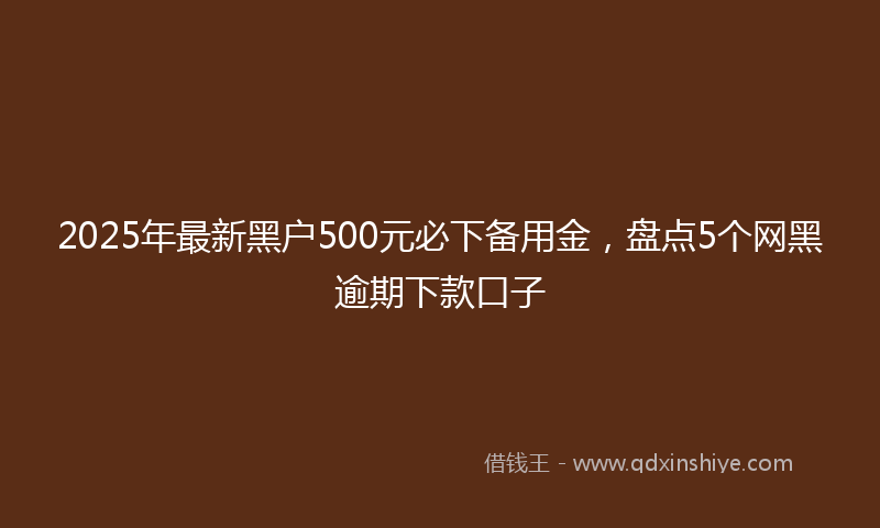 2025年最新黑户500元必下备用金，盘点5个网黑逾期下款口子