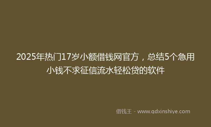 2025年热门17岁小额借钱网官方，总结5个急用小钱不求征信流水轻松贷的软件