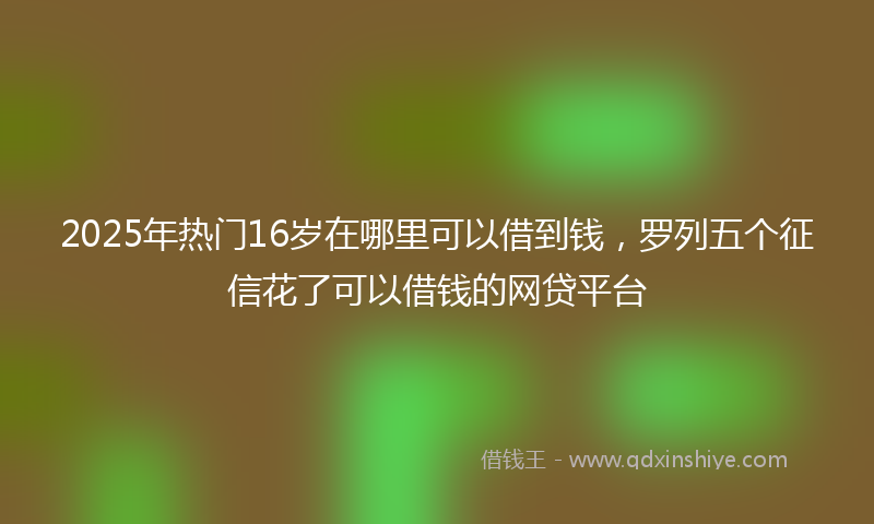 2025年热门16岁在哪里可以借到钱，罗列五个征信花了可以借钱的网贷平台