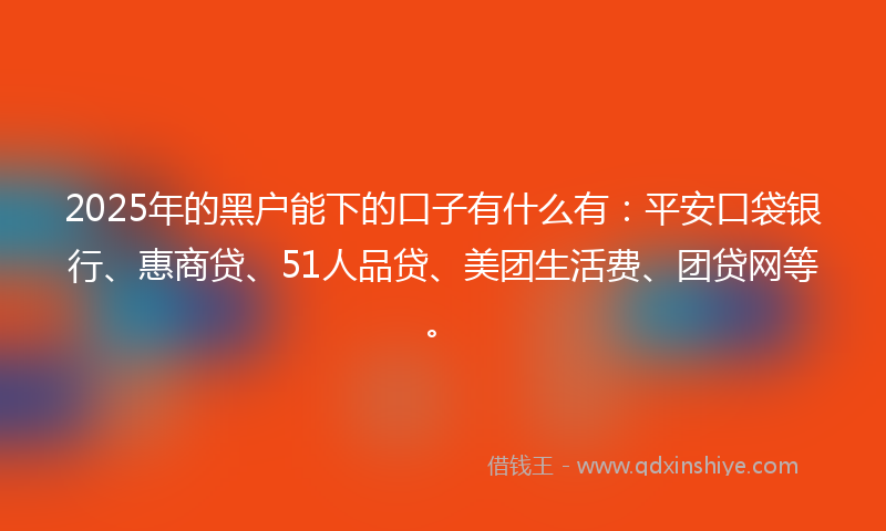 2025年的黑户能下的口子有什么有：平安口袋银行、惠商贷、51人品贷、美团生活费、团贷网等。