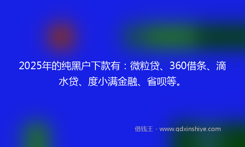 2025年的纯黑户下款有：微粒贷、360借条、滴水贷、度小满金融、省呗等。