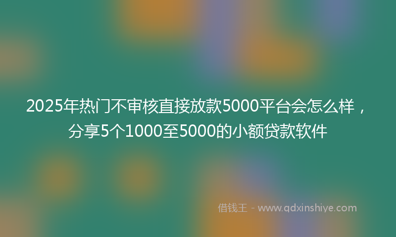 2025年热门不审核直接放款5000平台会怎么样，分享5个1000至5000的小额贷款软件
