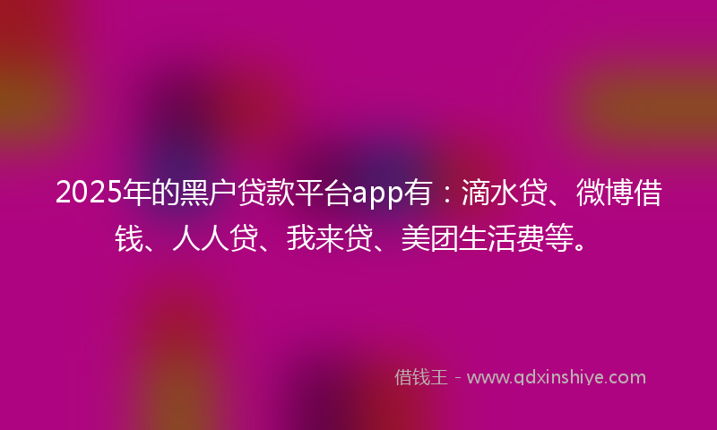 2025年的黑户贷款平台app有：滴水贷、微博借钱、人人贷、我来贷、美团生活费等。