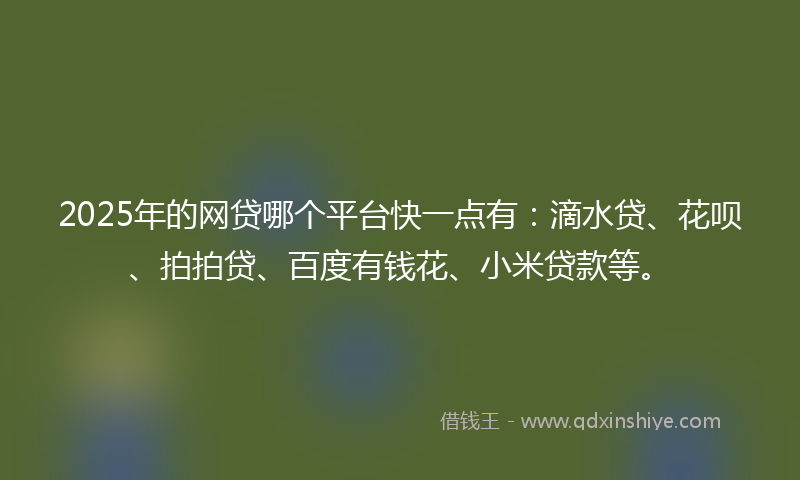 2025年的网贷哪个平台快一点有：滴水贷、花呗、拍拍贷、百度有钱花、小米贷款等。