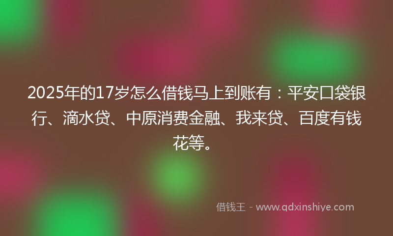 2025年的17岁怎么借钱马上到账有：平安口袋银行、滴水贷、中原消费金融、我来贷、百度有钱花等。