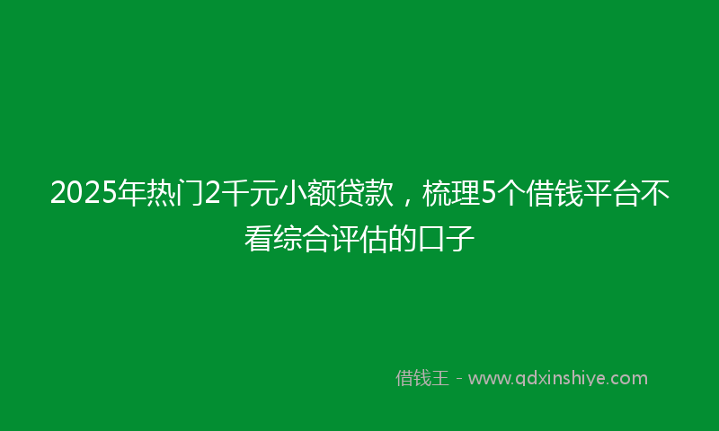 2025年热门2千元小额贷款，梳理5个借钱平台不看综合评估的口子