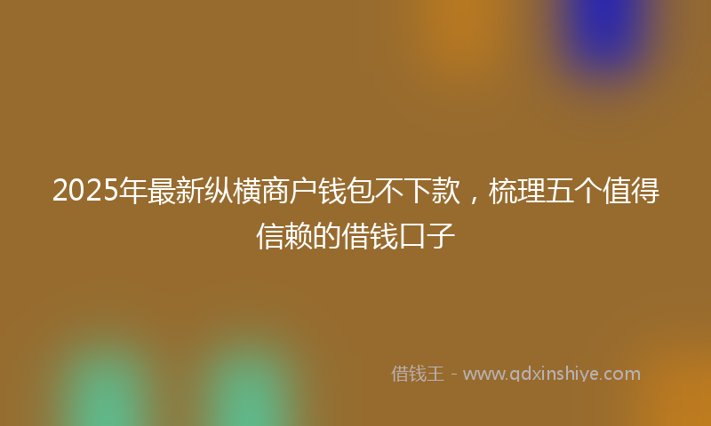 2025年最新纵横商户钱包不下款，梳理五个值得信赖的借钱口子